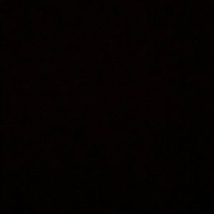 Meet your Posher, Lily